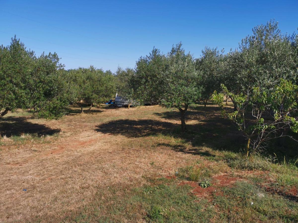 Jacuzi Cottage In The Olive Grove พูลา ภายนอก รูปภาพ