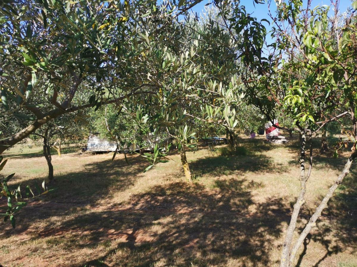 Jacuzi Cottage In The Olive Grove พูลา ภายนอก รูปภาพ