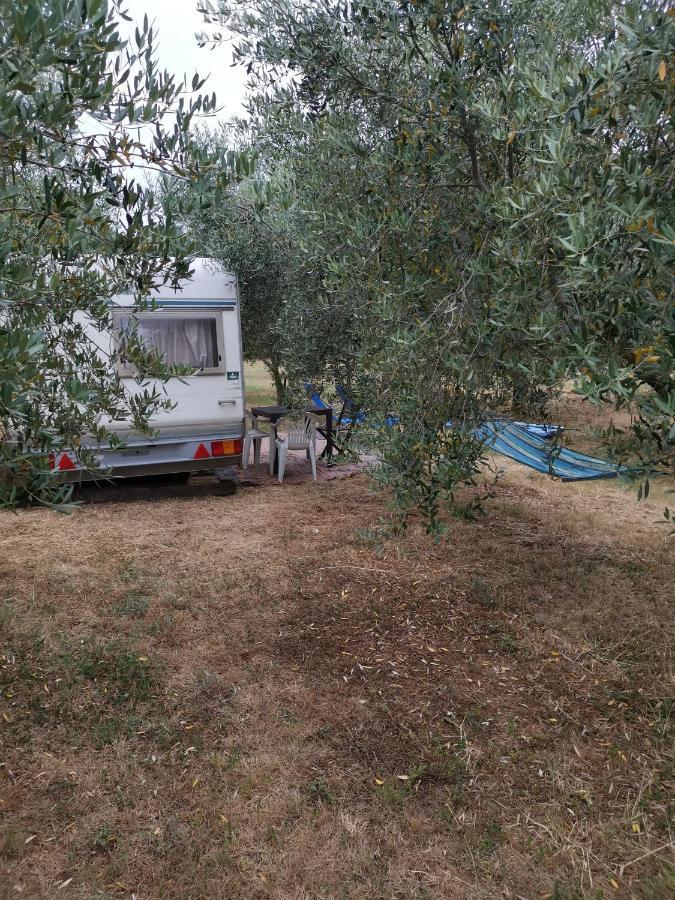 Jacuzi Cottage In The Olive Grove พูลา ภายนอก รูปภาพ