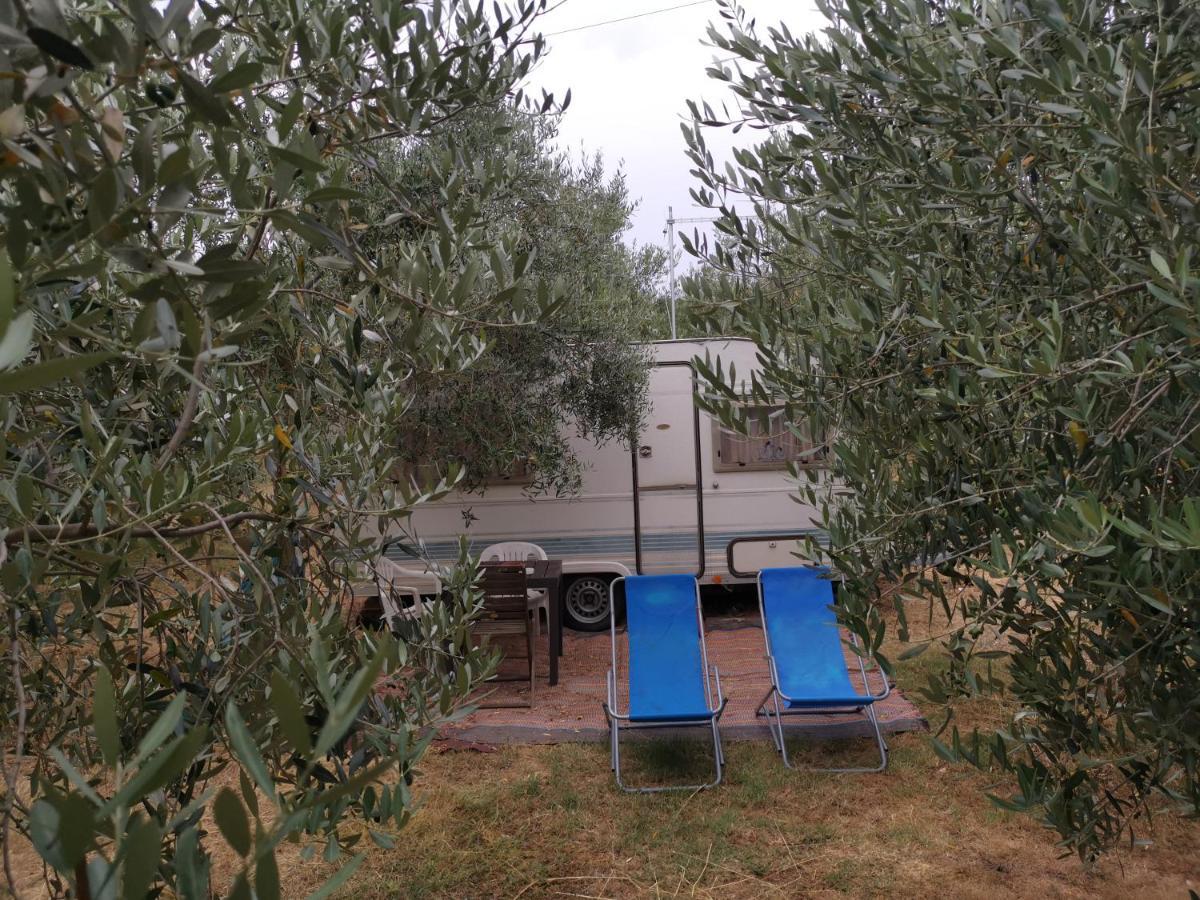 Jacuzi Cottage In The Olive Grove พูลา ภายนอก รูปภาพ