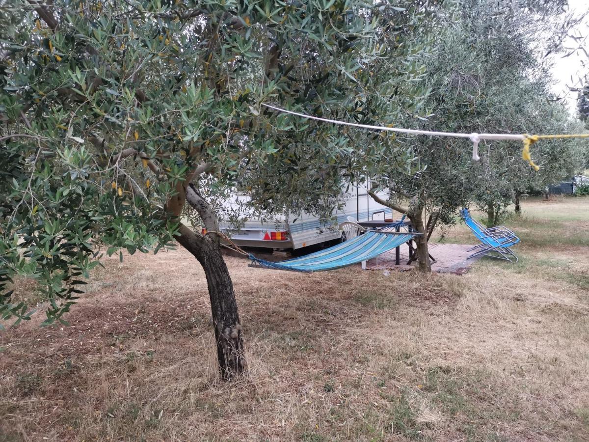 Jacuzi Cottage In The Olive Grove พูลา ภายนอก รูปภาพ