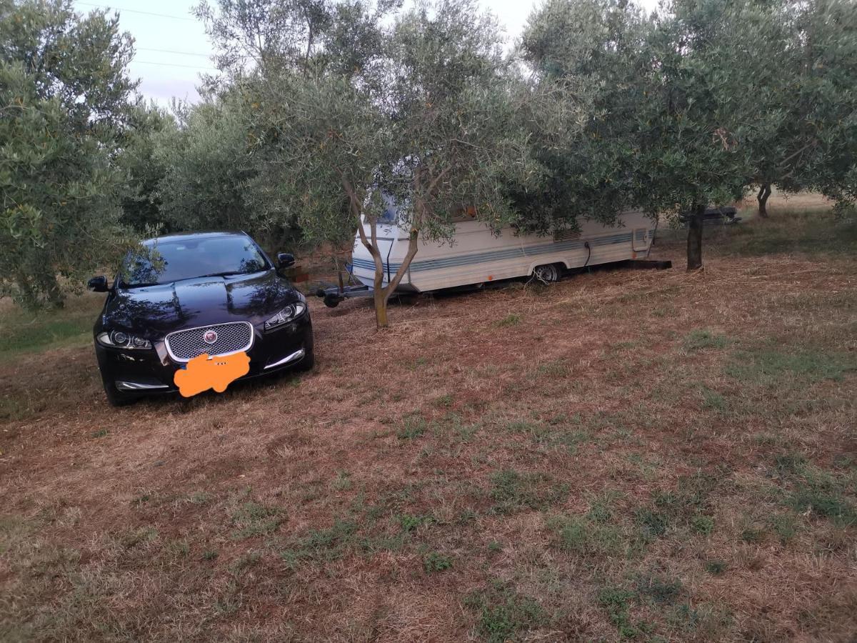 Jacuzi Cottage In The Olive Grove พูลา ภายนอก รูปภาพ