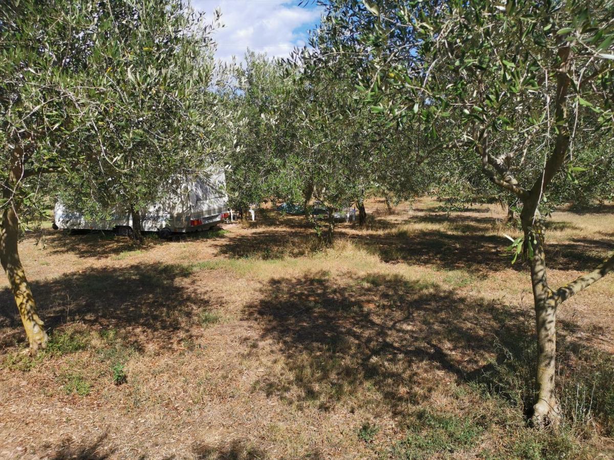 Jacuzi Cottage In The Olive Grove พูลา ภายนอก รูปภาพ