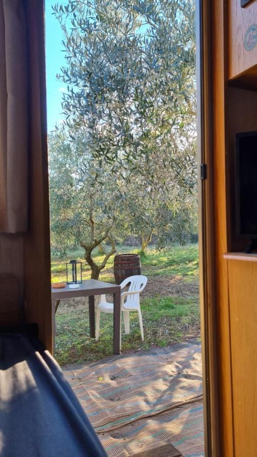 Jacuzi Cottage In The Olive Grove พูลา ภายนอก รูปภาพ