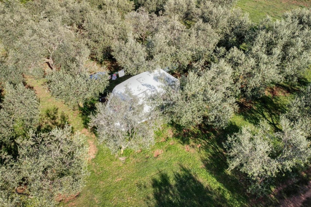 Jacuzi Cottage In The Olive Grove พูลา ภายนอก รูปภาพ