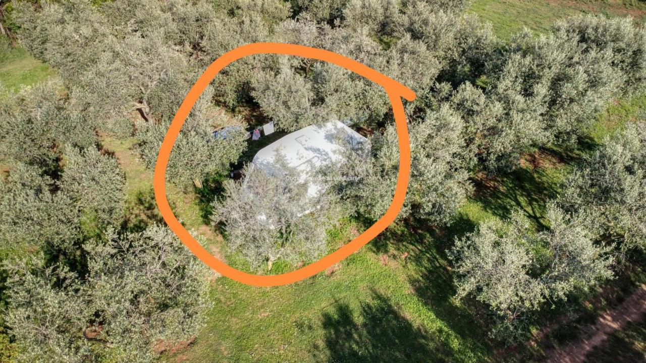 Jacuzi Cottage In The Olive Grove พูลา ภายนอก รูปภาพ