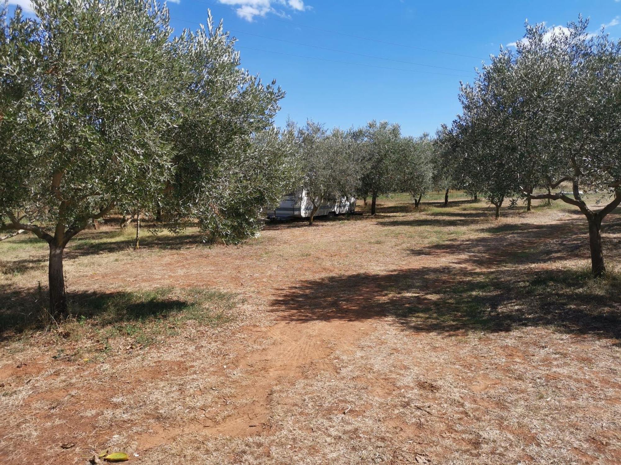 Jacuzi Cottage In The Olive Grove พูลา ห้อง รูปภาพ